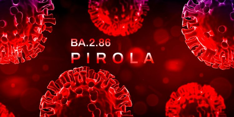 Ecuador detecta primer caso de contagiosa variante Pirola de COVID-19