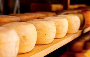 Quesos Cheddar sobre una estanteria.