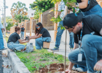 Alcaldía siembra 30 árboles de almácigo en la Zona Universitaria