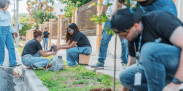 Alcaldía siembra 30 árboles de almácigo en la Zona Universitaria