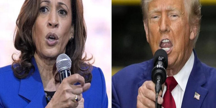 Estados Unidos: el sistema electoral que no requiere mayoría de votos