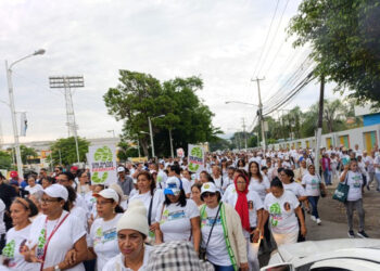 Cientos marchan en "Un paso por la familia" en Santo Domingo