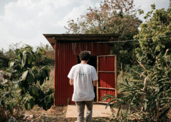 ONU: 3,500 millones de personas carecen de letrinas seguras en el Día Mundial del Inodoro