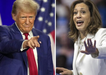 Trump y Harris cortejan el voto latino en cierre de campaña
