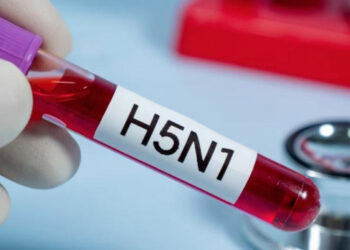 California declara emergencia por gripe aviar H5N1