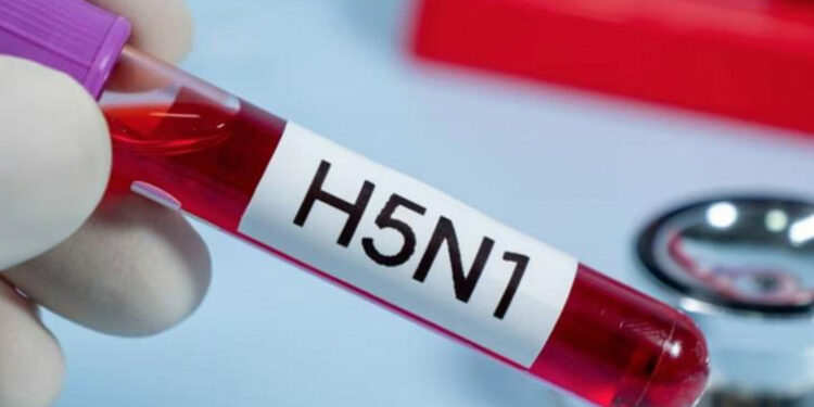 California declara emergencia por gripe aviar H5N1