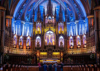 Notre Dame lanza app y abre reservas para su reapertura tras incendio