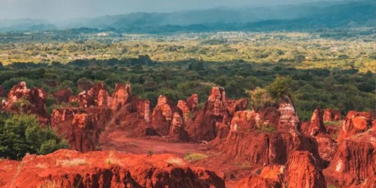 Abinader destaca el potencial de las tierras raras en RD