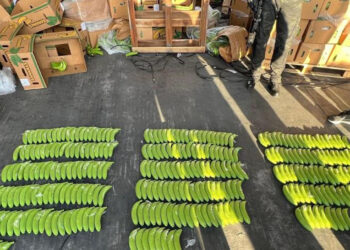 Incautan 303 guineos de cerámica con cocaína en puerto de Manzanillo