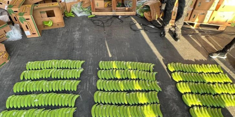 Incautan 303 guineos de cerámica con cocaína en puerto de Manzanillo