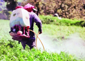 Aumentan intoxicaciones por plaguicidas en República Dominicana