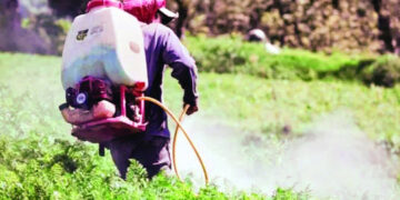 Aumentan intoxicaciones por plaguicidas en República Dominicana