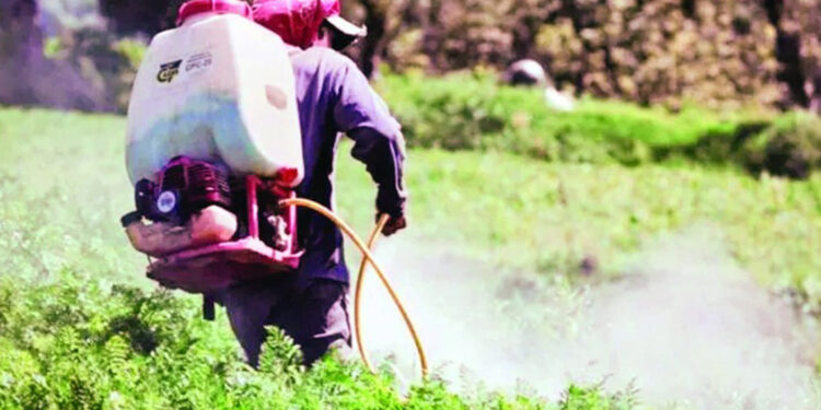 Aumentan intoxicaciones por plaguicidas en República Dominicana