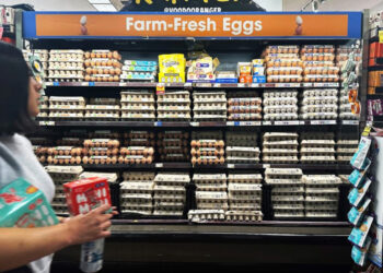 En Nueva York venden huevos por unidad ante alza de precios
