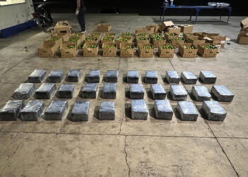 Arrestan a deportado vinculado al decomiso de 201 paquetes de cocaína en Montecristi
