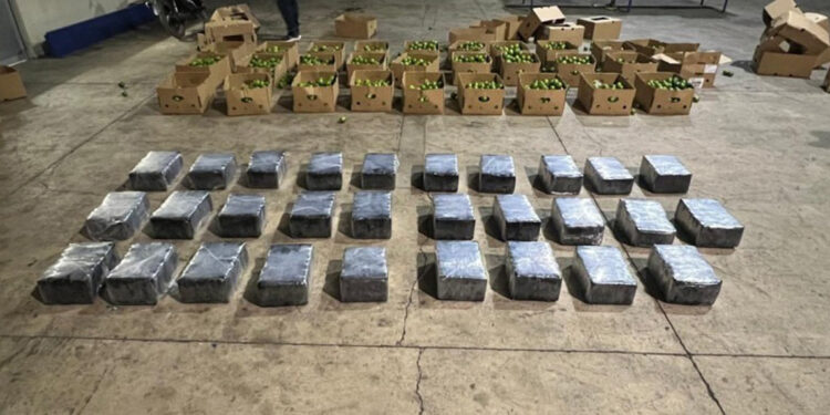 Arrestan a deportado vinculado al decomiso de 201 paquetes de cocaína en Montecristi