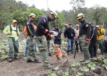 Autoridades amplían búsqueda de Roldany en Constanza y Moca