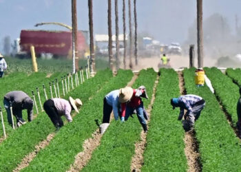 Donald Trump suaviza plan migratorio ante presión de empresarios