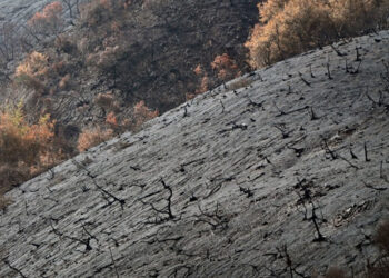 Estudio vincula incendios en Los Ángeles con patrones climáticos globales