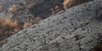 Estudio vincula incendios en Los Ángeles con patrones climáticos globales
