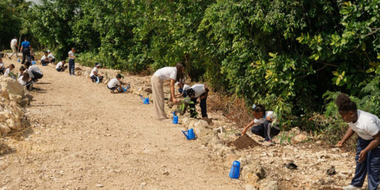 Fundación y Hope Academy siembran árboles nativos en Punta Cana