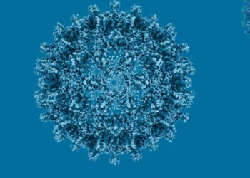 RD registra 910 casos de hepatitis B y 541 de C en 2025