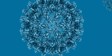 RD registra 910 casos de hepatitis B y 541 de C en 2025