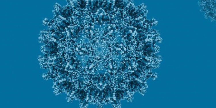 RD registra 910 casos de hepatitis B y 541 de C en 2025