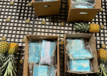 Cocaína incautada en cajas de piña en aeropuerto de Punta Cana
