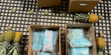 Cocaína incautada en cajas de piña en aeropuerto de Punta Cana