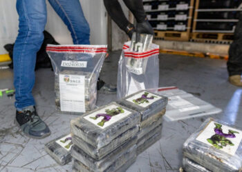 Incautan 120 paquetes de cocaína en Puerto Caucedo rumbo a Londres