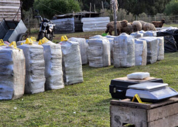 Uruguay incauta más de dos toneladas de cocaína destinadas a Europa
