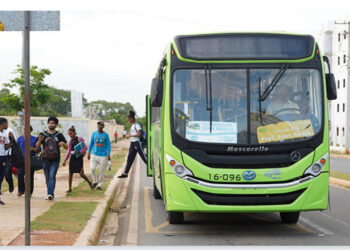 Anuncian incorporación de 13 autobuses para reforzar transporte en Ciudad Juan Bosch