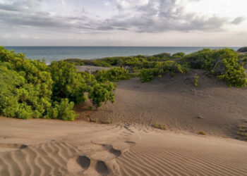 Comisión Ambiental de la UASD rechaza cambiar límites de las Dunas de Baní