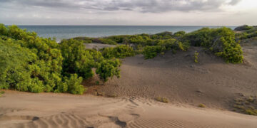 Comisión Ambiental de la UASD rechaza cambiar límites de las Dunas de Baní