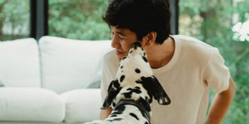 Ensayos clínicos prueban pastilla que podría alargar vida de perros