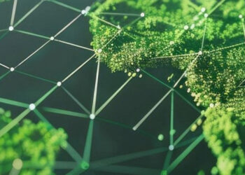 Estudio revela que almacenamiento de carbono solo reduciría 0,7 °C el calentamiento