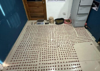 Incautan 17 libras de marihuana y arrestan a joven en La Romana