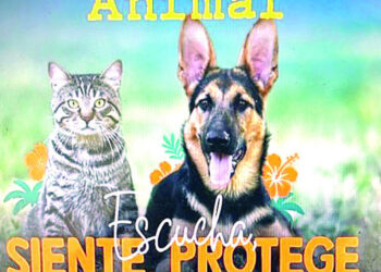Animal Fest RD inicia este viernes con agenda innovadora por el bienestar animal