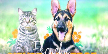 Animal Fest RD inicia este viernes con agenda innovadora por el bienestar animal