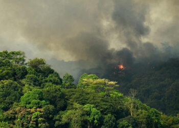 Cambio climático y especies invasoras ponen en riesgo el Patrimonio Mundial natural