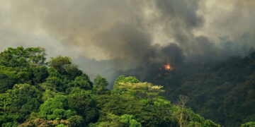 Cambio climático y especies invasoras ponen en riesgo el Patrimonio Mundial natural