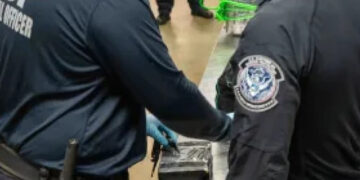 Incautan 165 kilos de cocaína en contenedor desde República Dominicana