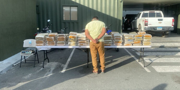 Incautan 572 libras de marihuana en operativo en Baní