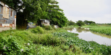 Residentes temen desbordamiento del río Yuca por la tormenta Melissa
