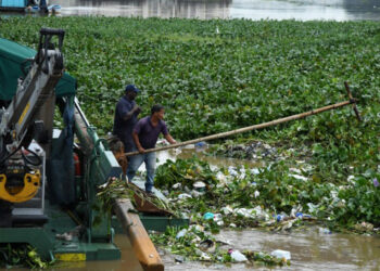 Siguen labores de limpieza en el Puente Flotante tras desechos dejados por Melissa