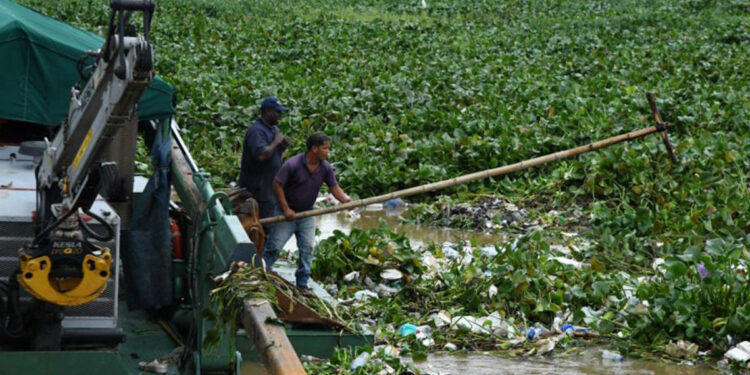 Siguen labores de limpieza en el Puente Flotante tras desechos dejados por Melissa