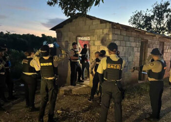 Arrestan 21 personas e incautan drogas en operativos de la DNCD