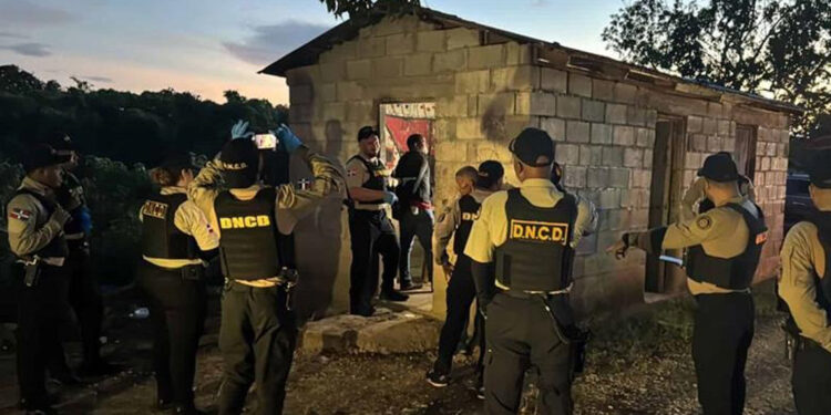 Arrestan 21 personas e incautan drogas en operativos de la DNCD