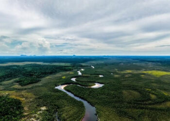 CAF invertirá US$40,000 millones para crecimiento verde